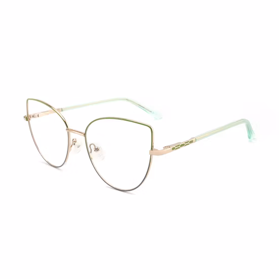 제조 가격 고정 동공 시험 프레임 TF